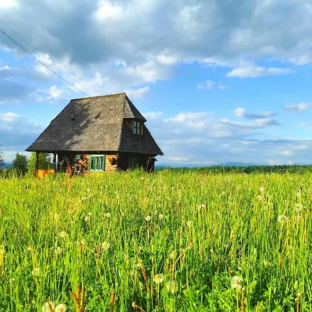 Гостевой дом Complex Traditional Casa Din Vale Breb